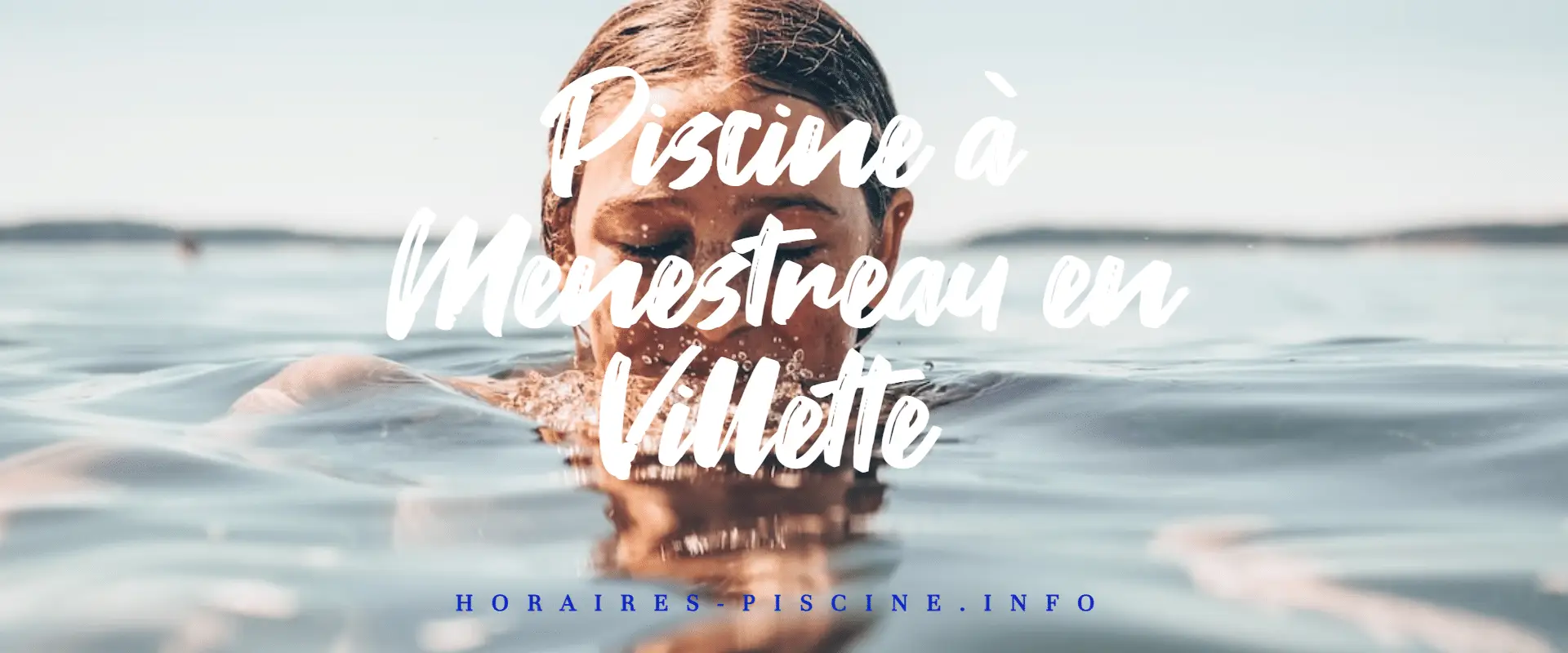 Piscine à Menestreau en Villette