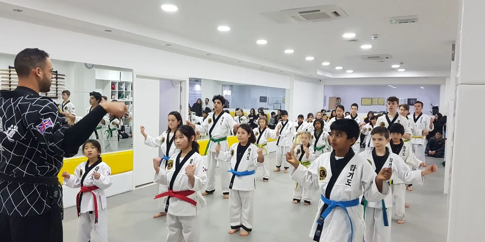 SKMA Hapkido & Kummooyeh