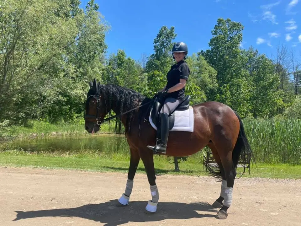 M2 Dressage