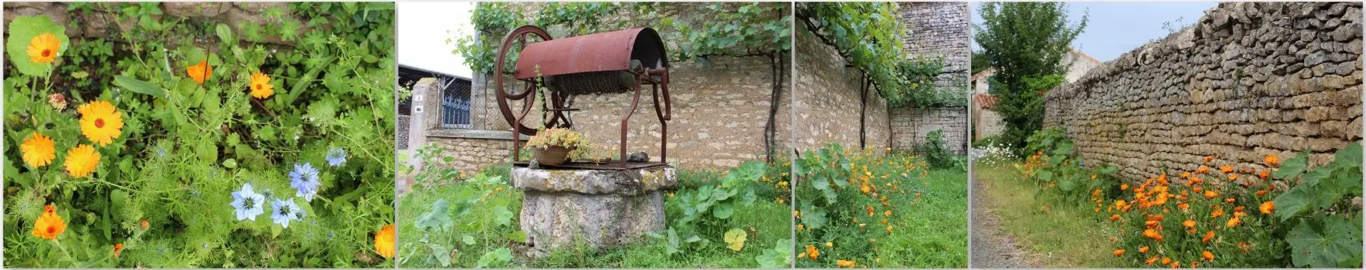 Ancienne Carrière de Cinq Coux
