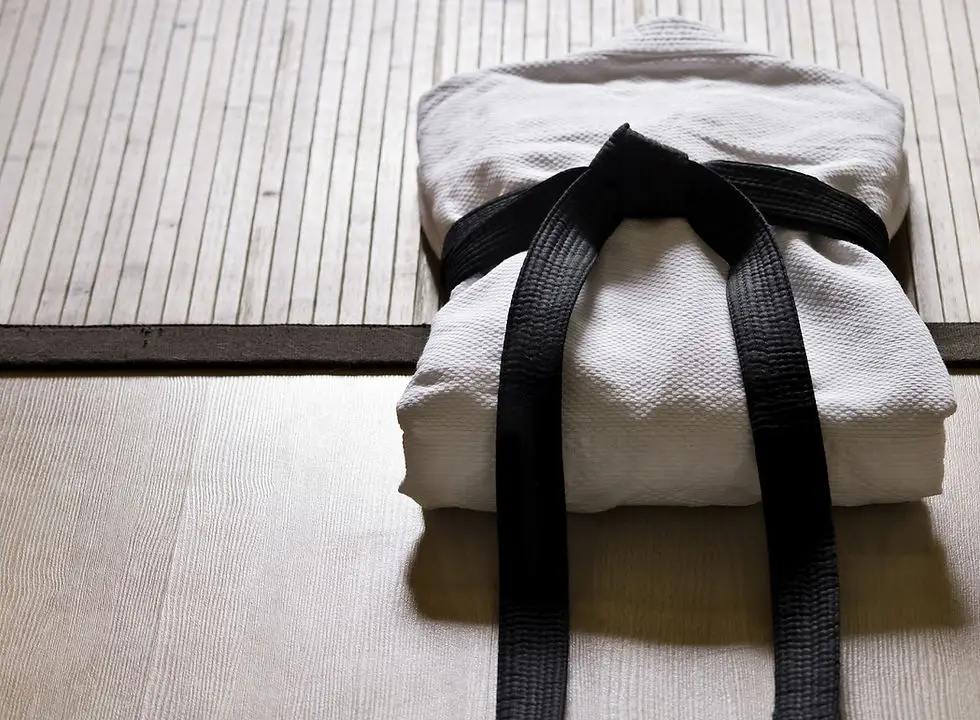 School Of Judo