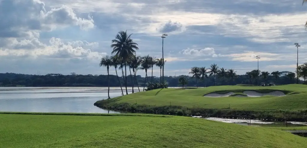 Lee Carrington Golf