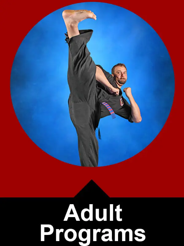 Spirit Of The Dragon Martial Arts School Ltd