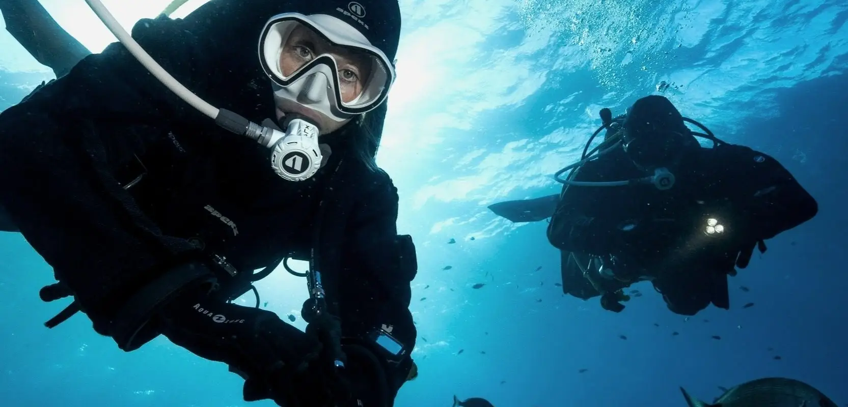 Rowand's Reef-Dive Gear/Learn to Dive
