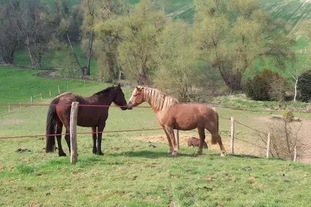 Stables Du Moulin