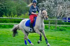 Ecurie Des Huards