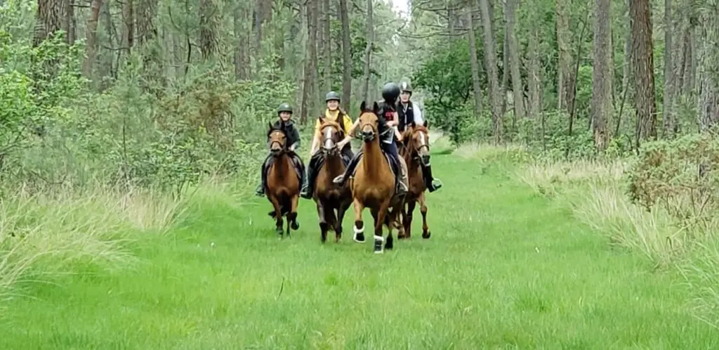 Le Poney Club