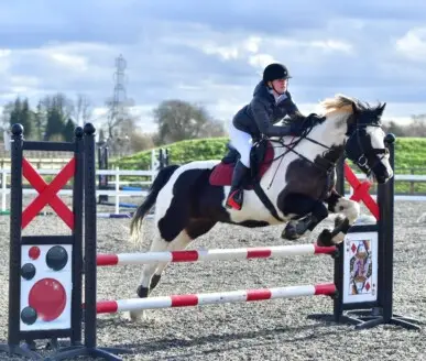 Barleylands Equestrian Centre
