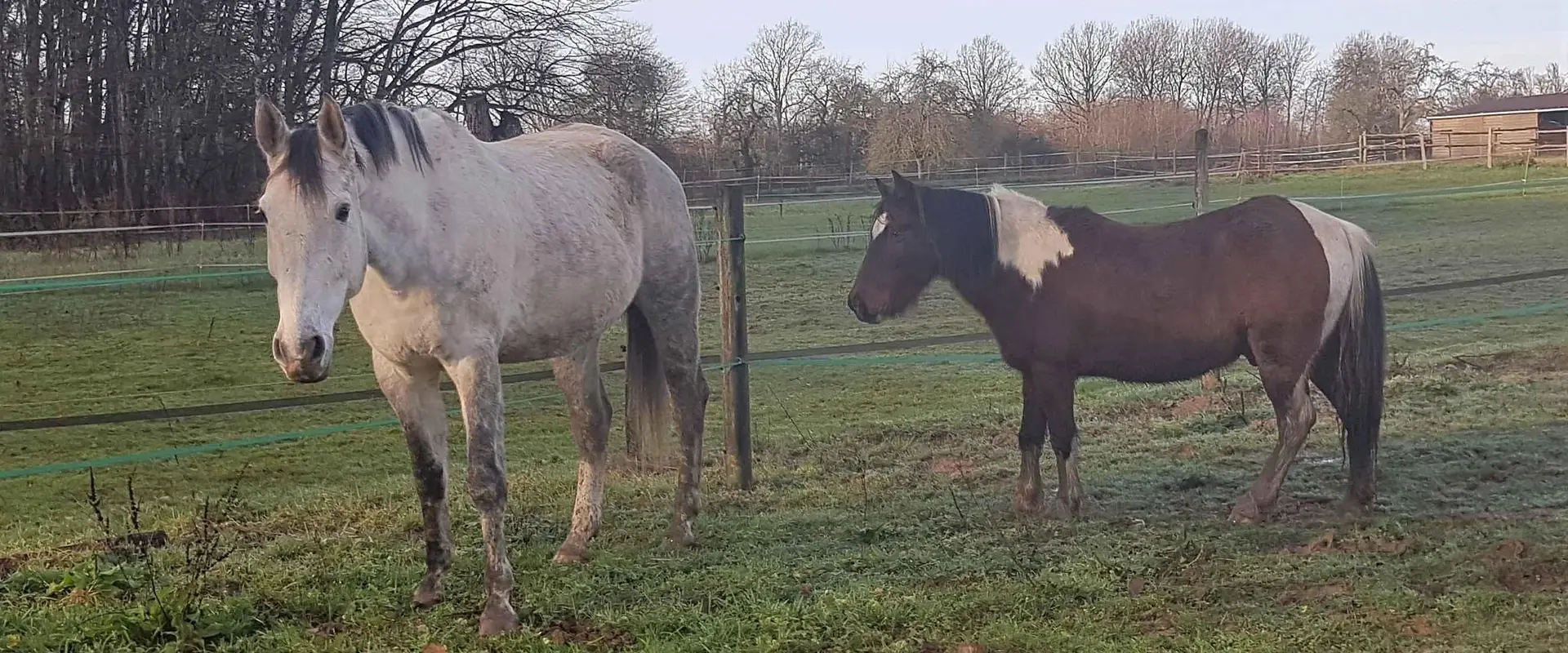 Le Som'ranch