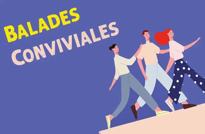 Culture Leisure Animation Jeu Education