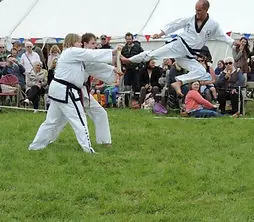 Tae Kwon-do - Isle of Wight Club