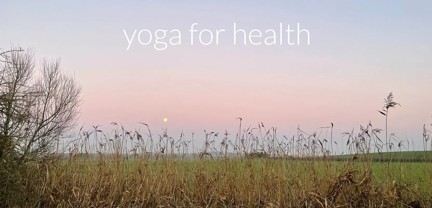 MADELEINE SCOTT YOGA, SOMERSET