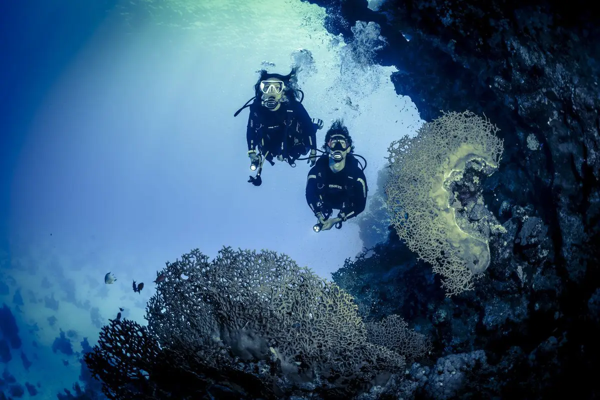 Seahawks SCUBA | Scuba diving in Havelock | Scuba diving in Andaman