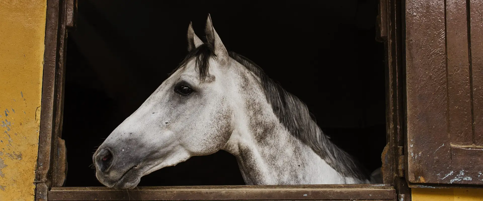 Equestrian Center De Hauterives