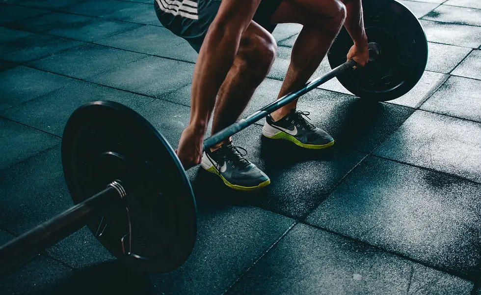 Northern Elite Fitness