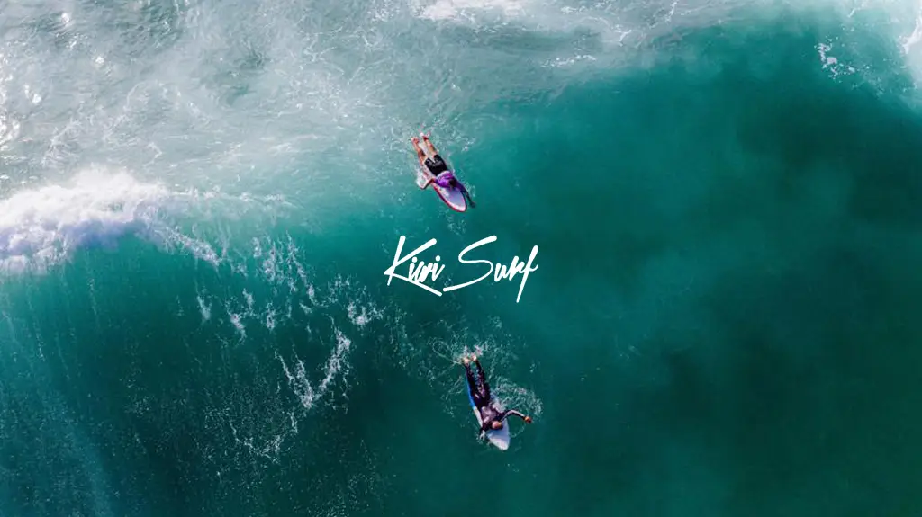 Ecole De Surf Kiwi Surf Biscarrosse