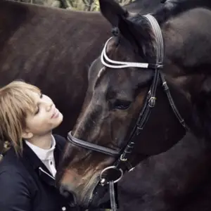 Sb Horse