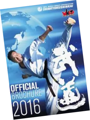 Ultimate Karate Academy