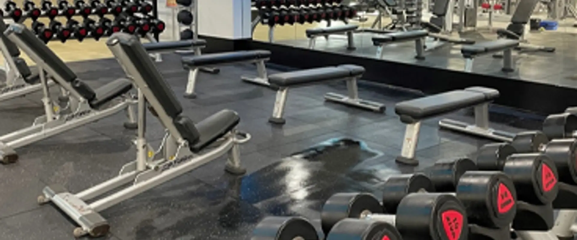 aptus health & fitness