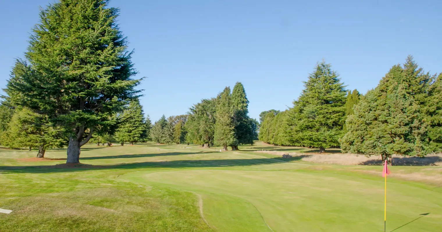 Waimarino Golf Club