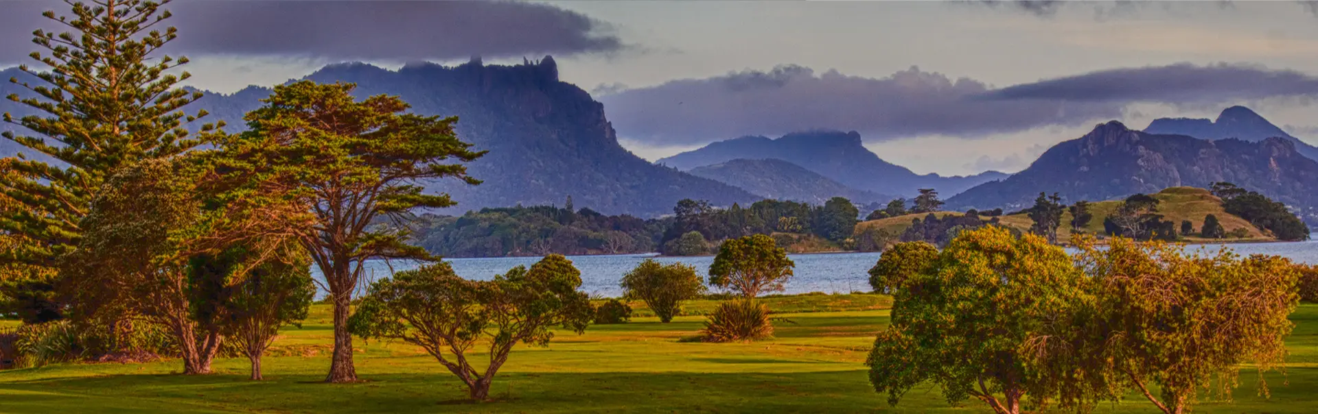 The Pines Golf Club