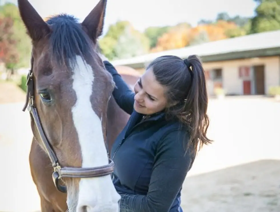 PB Osteopathy Human & Equine - Phoebe Bolton