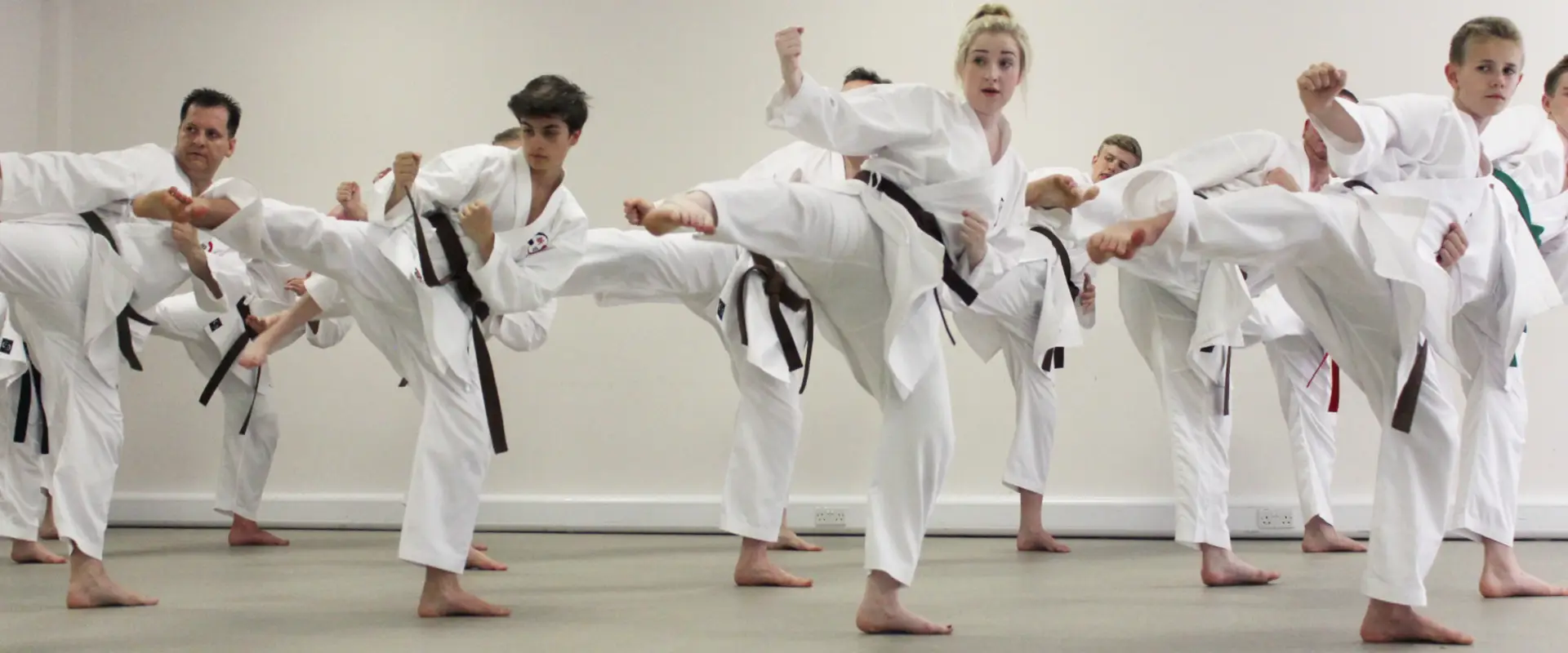 Gakusei Karate Springfield