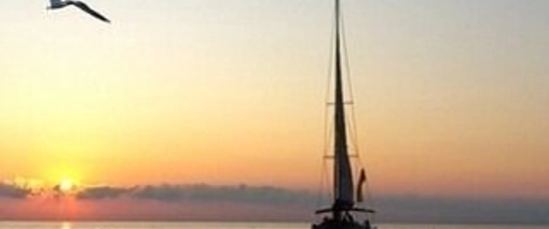 Royal Melbourne Sail Training Academy