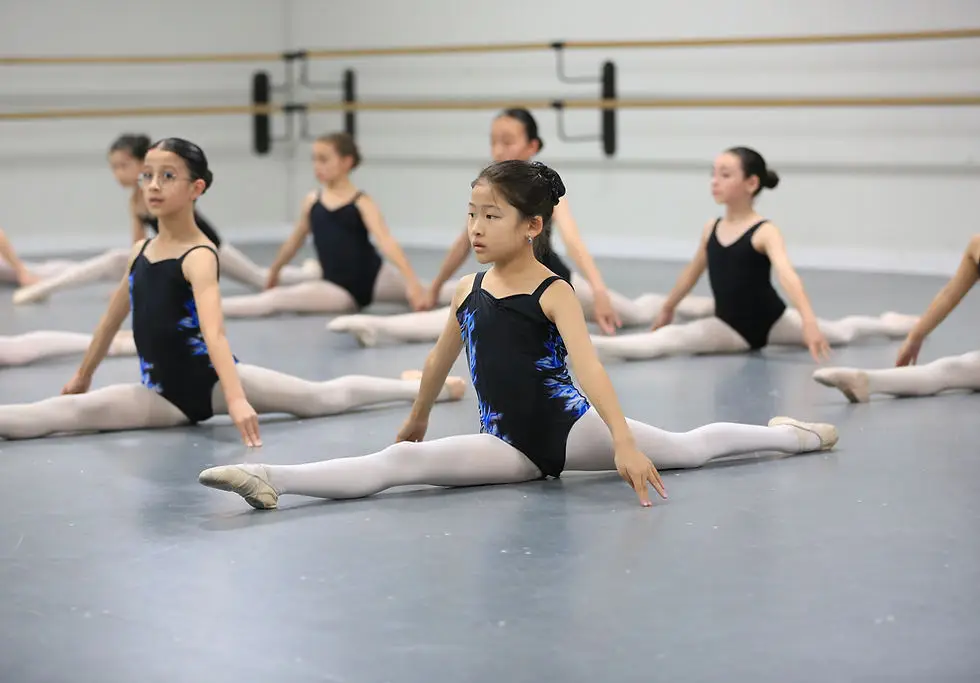 Phoenix Dance Company