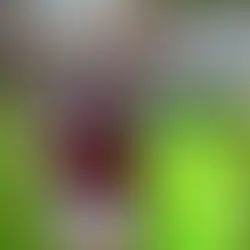 South Shields Football Club