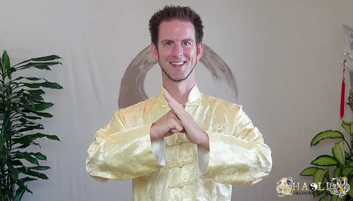 Shaolin Wahnam London - Zen Earth Therapies Qigong (Chi Kung)