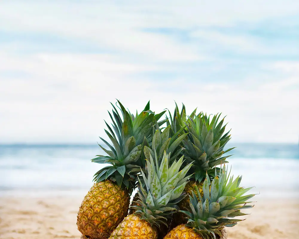 Pineapple Fitness