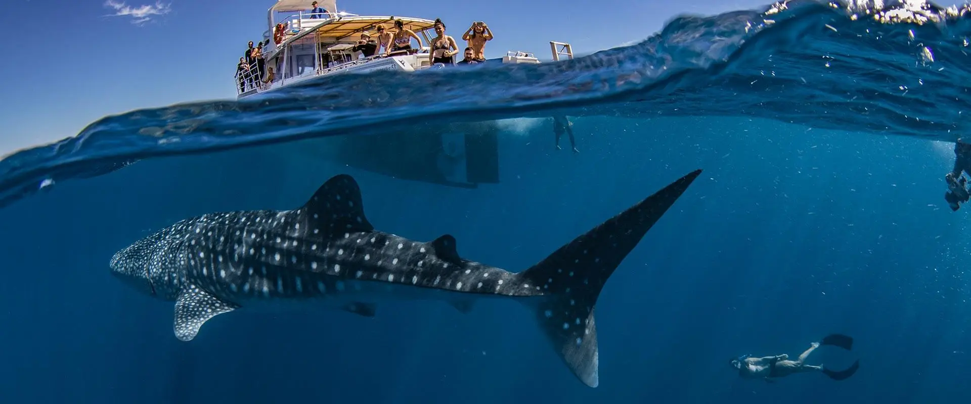 Exmouth Diving