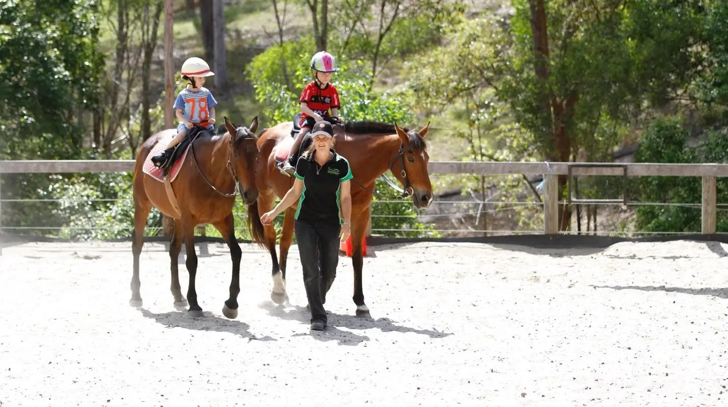 Horse Riding Hub - Beginner Horse Rider Education Specialist
