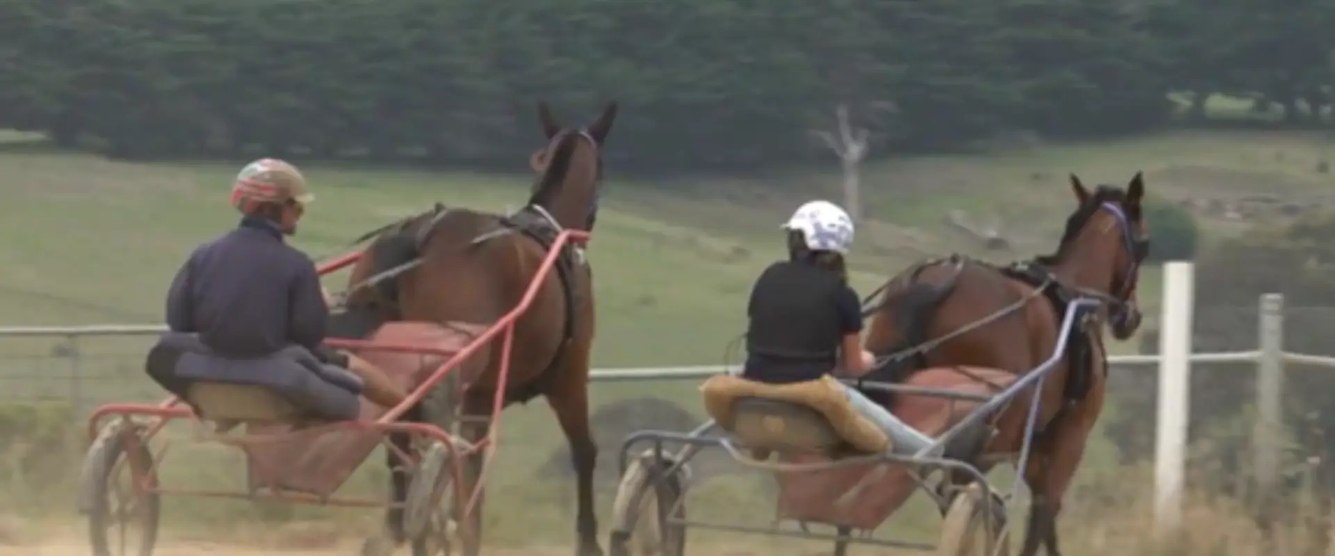 Rockhampton Harness Racing Club