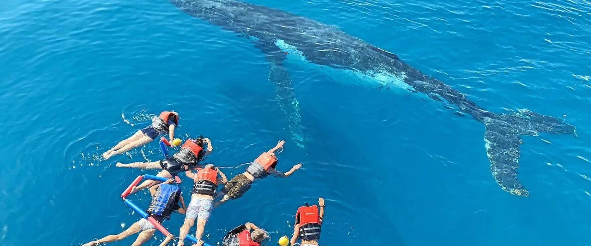 Aqua Adventures