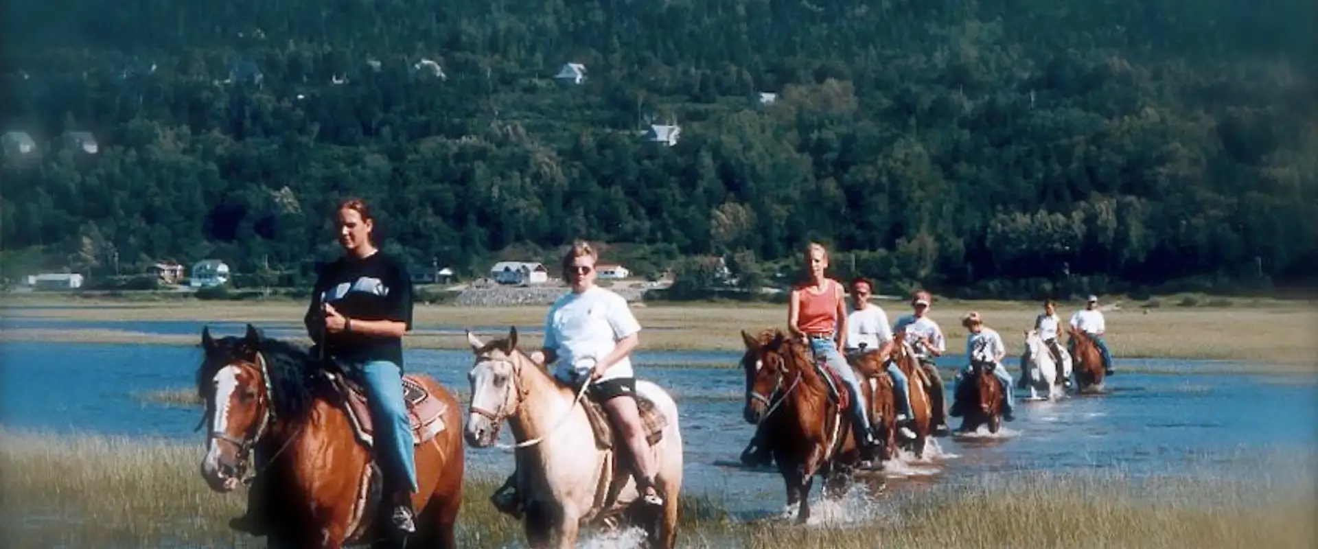 Centre Equestre Des Plateaux