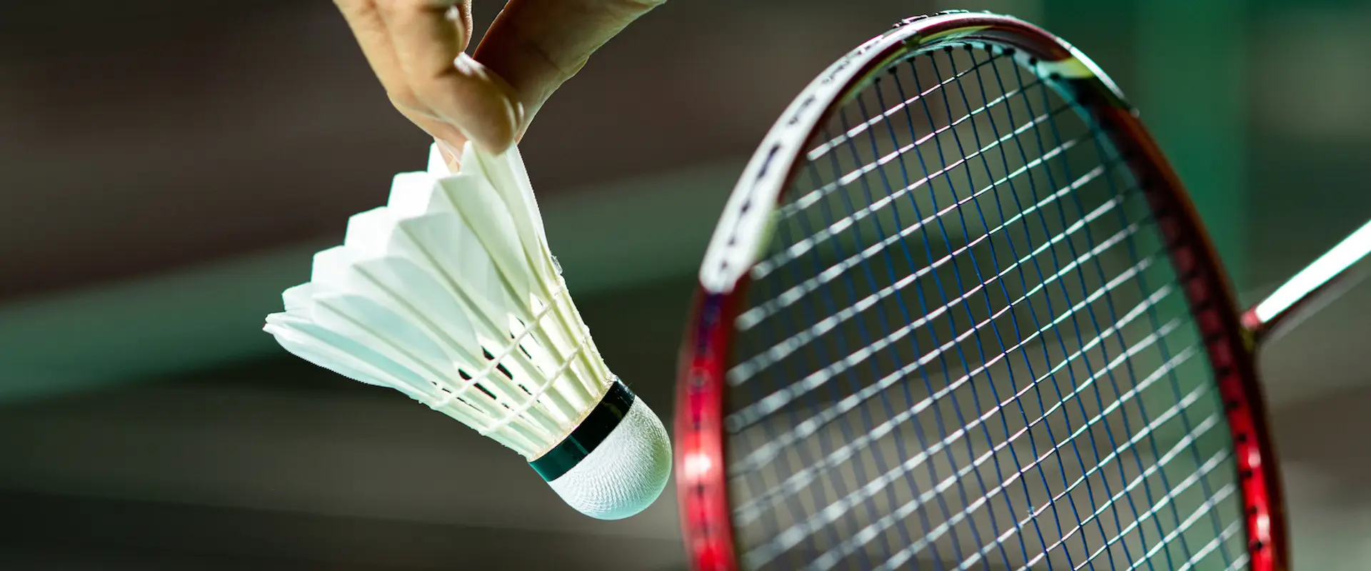 Badminton NSW