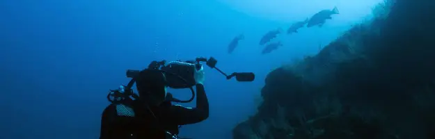 PlongéeBleue