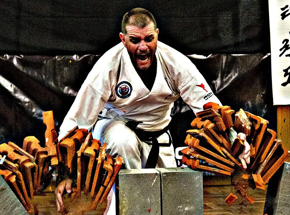 ROM Tae Kwon Do