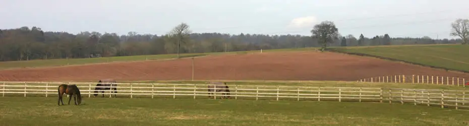 Strathearn Eventing