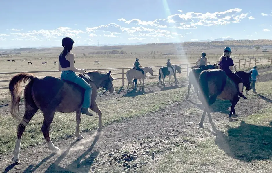 Eagle Feather Riding