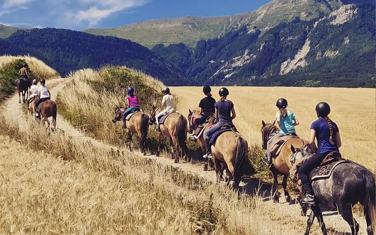 Alpes Cheval : Voyage et Rando équestre