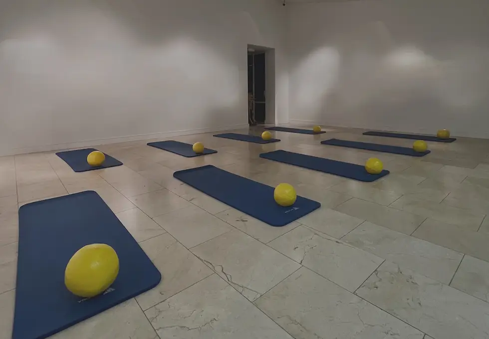 The Pilates Community