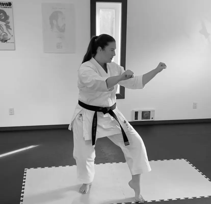 Kimura Shukokai Karate Royal Oak