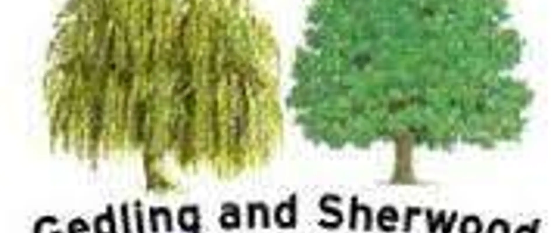 Gedling and Sherwood Cricket Club