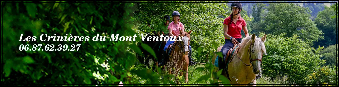 CRINIERES DU MONT VENTOUX