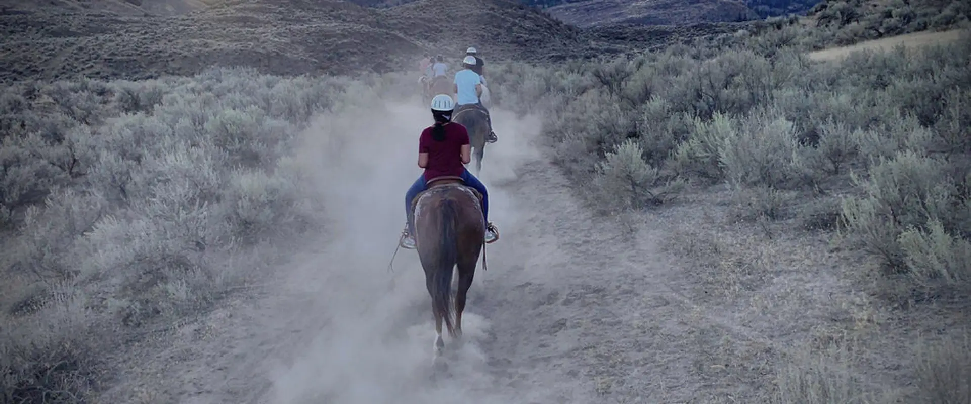 Sun Hills Riding Centre