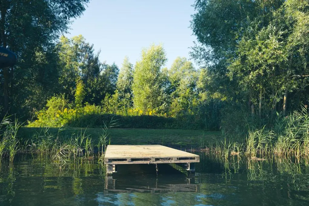 Blackberry lake