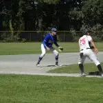 Blue Jays Baseball